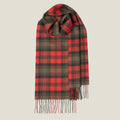 Classic red and green tartan lambswool scarf on a plain cream background. The scarf has a fringe edge.