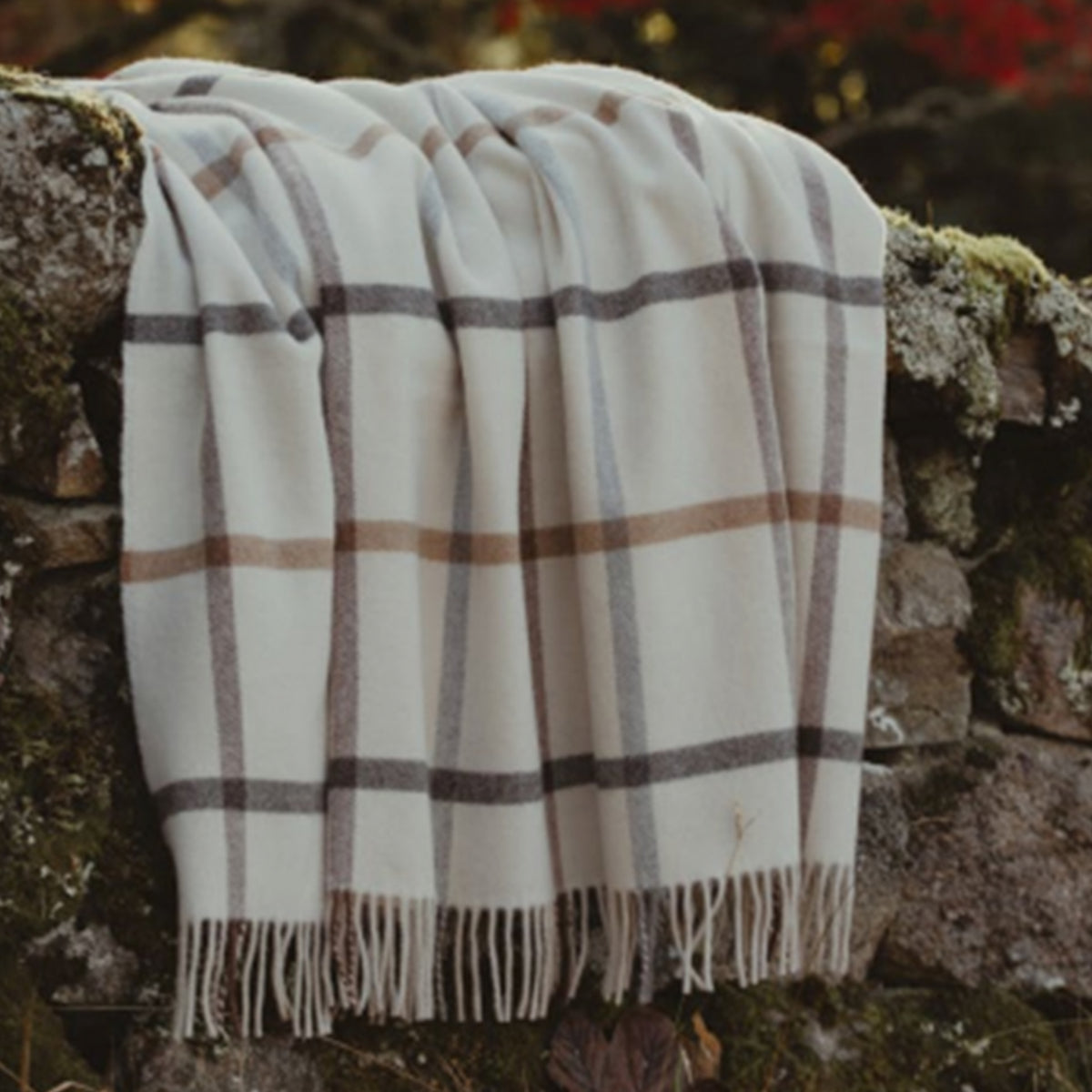 A cream-colored woven merino throw blanket with a brown and grey plaid pattern and fringed edges, draped over a rustic stone wall outdoors.